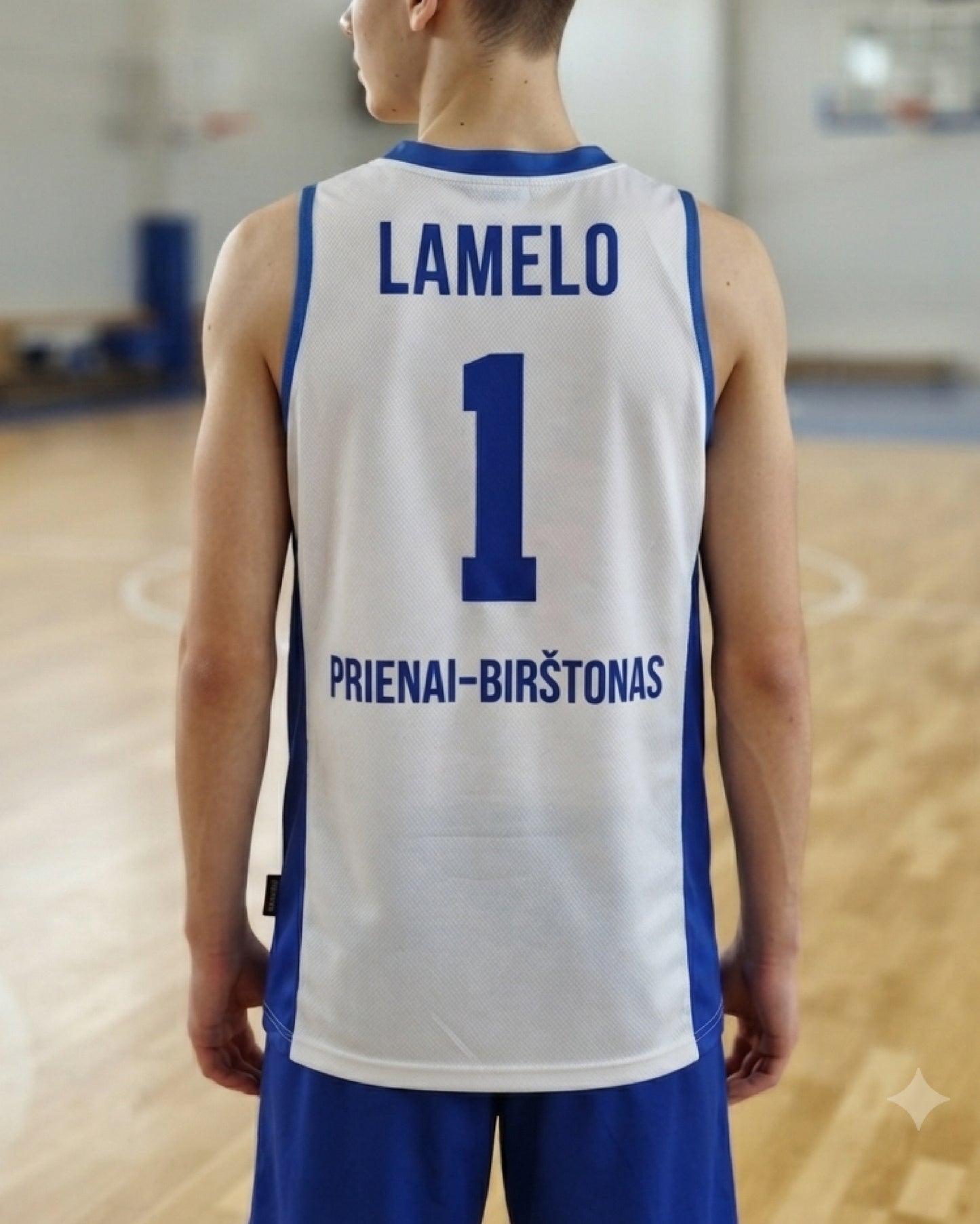 BBB LaMelo 1 Lithuania Jersey